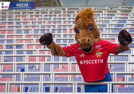 Câine războinic la stadion pfk cca, foto - foto - știri pfk cska