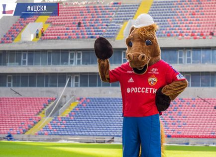 Câine războinic la stadion pfk cca, foto - foto - știri pfk cska