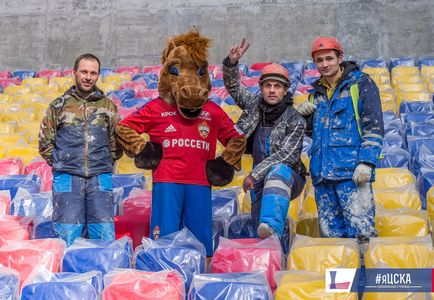 Câine războinic la stadion pfk cca, foto - foto - știri pfk cska