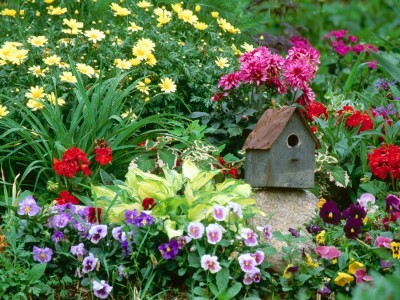 Красиві і цікаві ідеї оформлення клумб і квітників, біля будинку