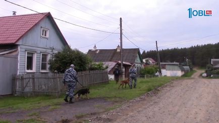 Куди зник дитина чотири сухі питання про зникнення 10-річного хлопчика в Касл