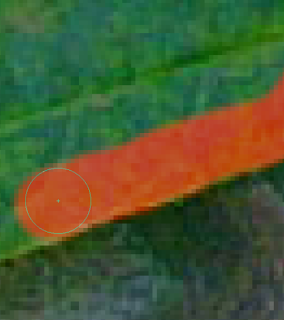 Tanfolyamok photoshop eszköz Gyorsmaszk, Photoshop kezdőknek (Maszk Gyorsmaszk) Tanfolyamok photoshop eszköz Gyorsmaszk, Photoshop kezdőknek