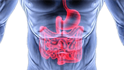 Tratamentul bolilor tractului gastrointestinal în China