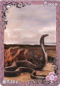 Lenormand kígyó, értelmezése és jelentése - jóslás Tarot