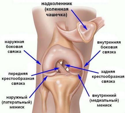 Ligamentita articulației genunchiului și a ligamentului patelar