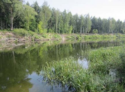 Ловля ляща на донку як зловити ляща донкою ловимо ляща донкою на річці насадка