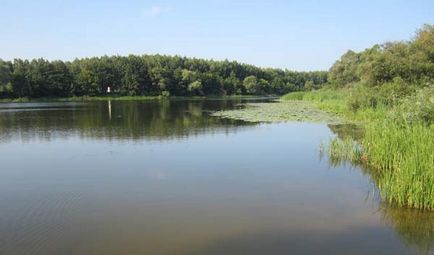 Ловля ляща на донку як зловити ляща донкою ловимо ляща донкою на річці насадка