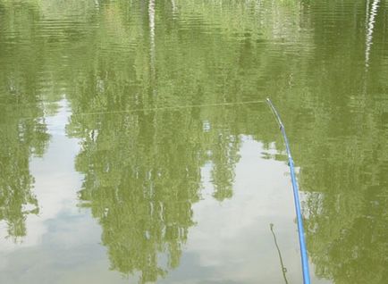 Ragályos keszeg donk, hogyan kell fogni a keszeg fogási keszeg Donka Donka a fejét folyó