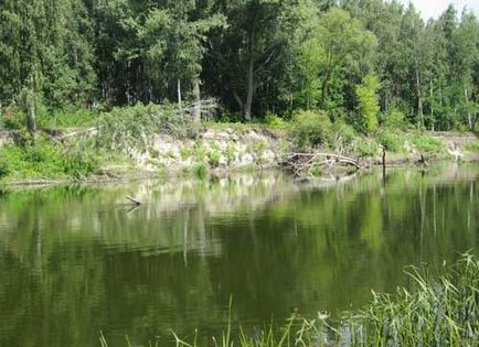 Ragályos keszeg donk, hogyan kell fogni a keszeg fogási keszeg Donka Donka a fejét folyó