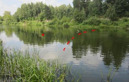 Ловля ляща на донку як зловити ляща донкою ловимо ляща донкою на річці насадка