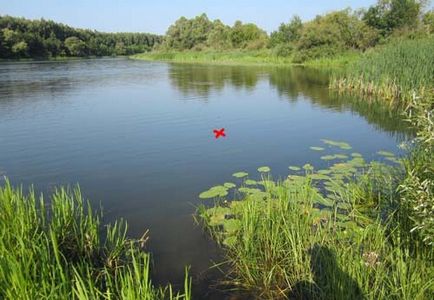 Ловля ляща на донку як зловити ляща донкою ловимо ляща донкою на річці насадка