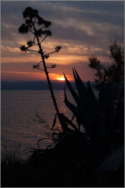 Riviera Makarska este o vacanță perfectă în croația