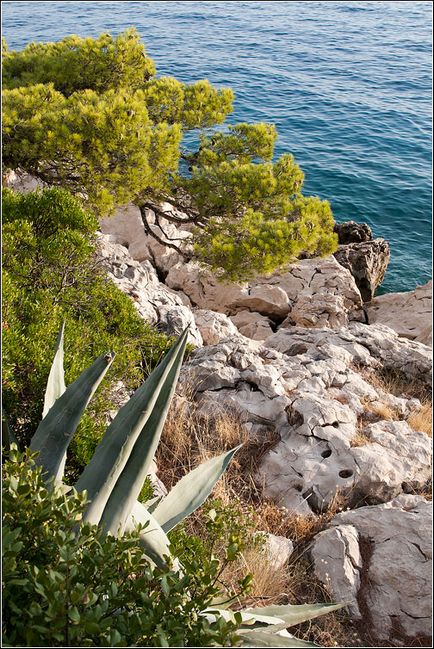 Riviera Makarska este o vacanță perfectă în croația