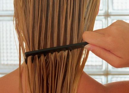 Hair Mask Botox kész szerszámok és házi receptek