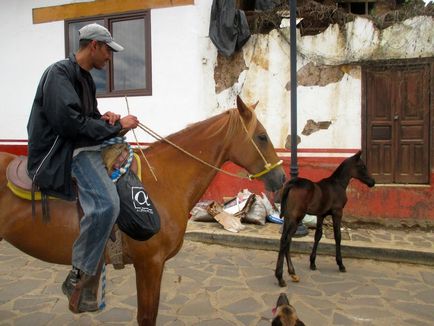 Mituri și stereotipuri cu privire la Mexic,