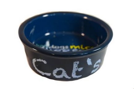 Bowls pentru pisici cu un dozator pentru a cumpara