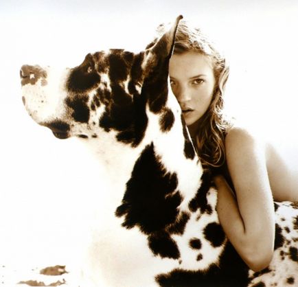Modele de portofoliu Kate Moss și alte povești