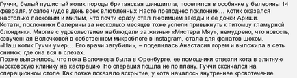 Молодий кіт Анастасії Волочкової помер - що сталося