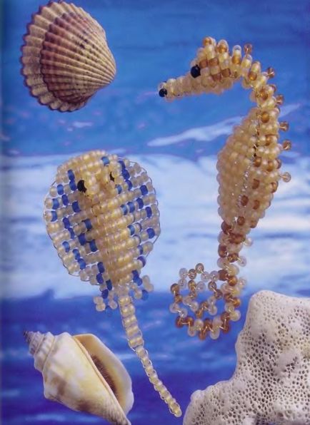 Seahorse și rampă