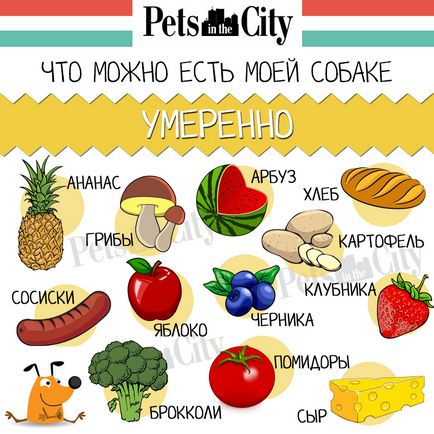 Чи можна собаці