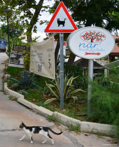 Embankment de Antalya și parcuri oraș, ghiduri mashapasha