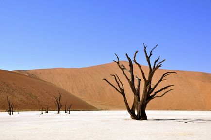 Namib - cel mai uscat, mai rece și mai vechi deșert de pe pământ