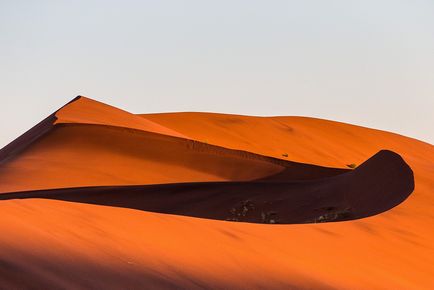 Наміб - найсухіша, найхолодніша і найдавніша пустеля на землі