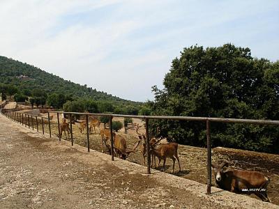 Apulia necunoscută