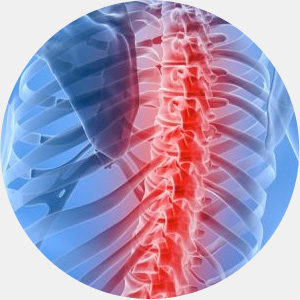 Imperfectarea structurii corpului uman ca o dovadă a evoluției - zgomot