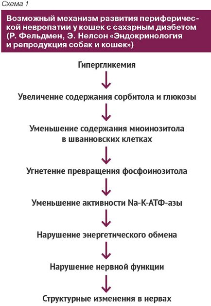 Неврологічні клінічні прояви в діагностиці ендокринних і метаболічних захворювань у