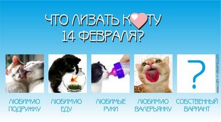 Ніжні листівки з кішками до 14 лютого, дня святого валентина - завантажити безкоштовно