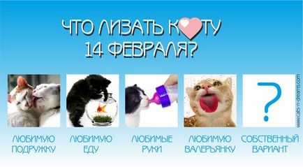 Деликатен карта с котки в 14-те на февруари, Деня на влюбените - свободен за изтегляне