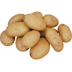Tratamentul tuberculilor de cartofi înainte de plantare de la gândacul de cartof Colorado