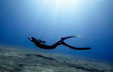 Bazele freediving