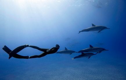 Bazele freediving