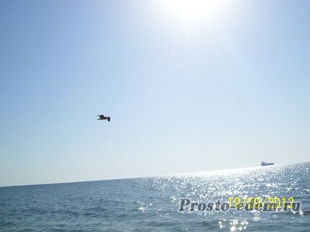 Відпочинок в Шепсі відгук і фото пляжу (ГЛК дельфін)