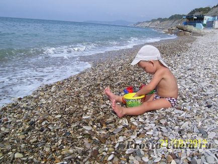 Sărbătorile în vârful ciobanesc și fotografia plajei (delfinul gol)