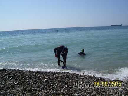 Sărbătorile în vârful ciobanesc și fotografia plajei (delfinul gol)