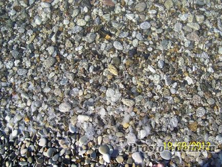 Nyugodj Shepsi felülvizsgálata és fotó Beach (GLA delfin) (Shepsi) Nyugodj Shepsi felülvizsgálata és fotó Beach (GLA delfin)