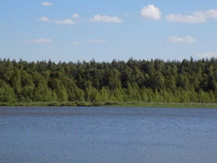 Озеро коверші в Ногінський район московської області, зелена лампа