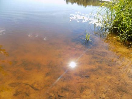 Un lac de o cuvă în cartierul Noginsk din regiunea Moscovei, o lampă verde