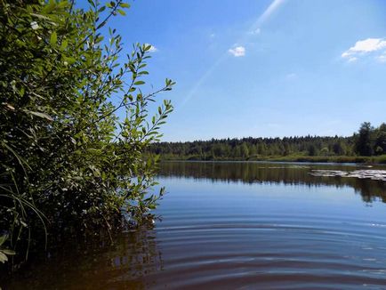 Un lac de o cuvă în cartierul Noginsk din regiunea Moscovei, o lampă verde