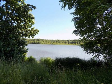 Озеро коверші в Ногінський район московської області, зелена лампа