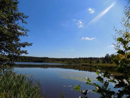 Un lac de o cuvă în cartierul Noginsk din regiunea Moscovei, o lampă verde