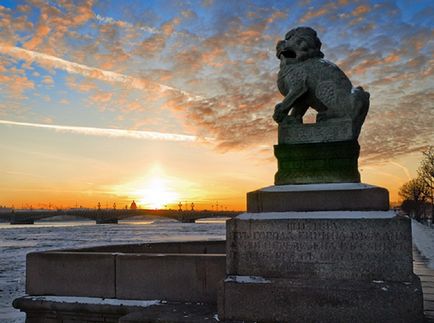 Monumente pentru animale din Sankt Petersburg