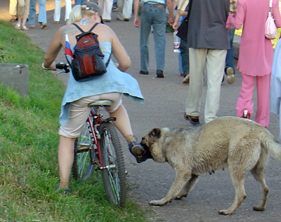 Primul ajutor pentru mușcăturile de animale