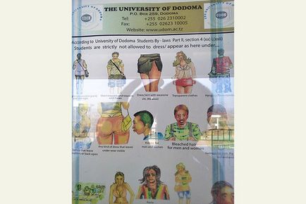 Prima experiență de stagiu la Universitatea Dodoma din Tanzania