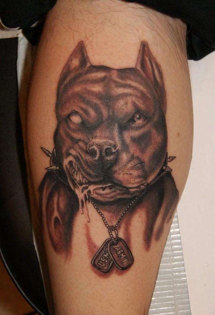 Pitbull tatuaj pe portal