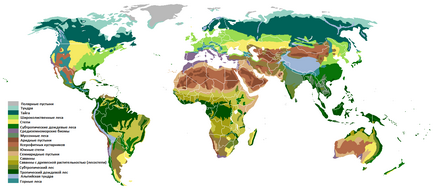 De ce este cel mai interesant site din lume în Orientul Mijlociu și Africa de Nord?