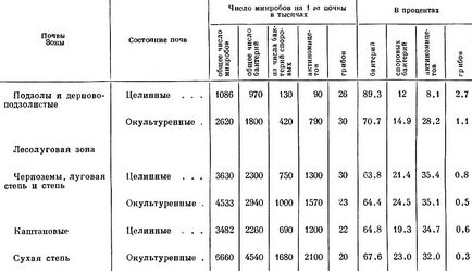 Solul din 1969 german